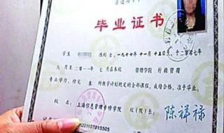 中国野鸡大学完整名单