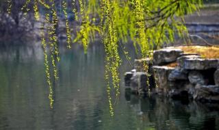 春分下雨意味着什么意思