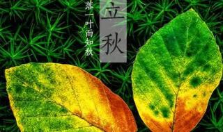 上午立秋和下午立秋的区别