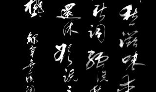 少年不知愁滋味作者
