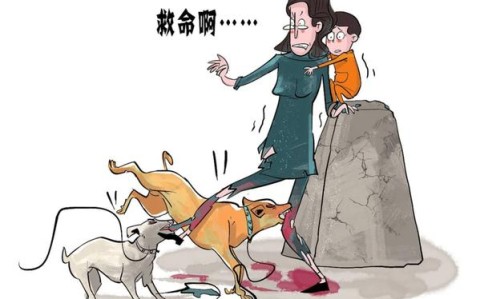 宠物伤人事件（宠物伤人视频）