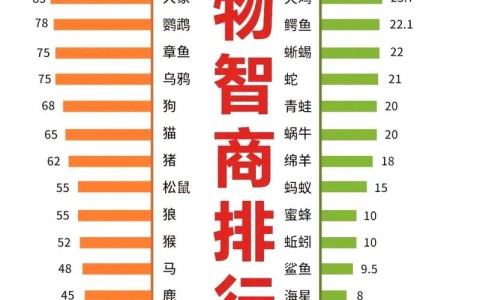 动物智商（哺乳动物智商）