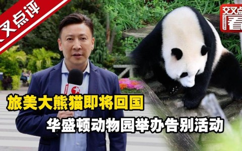 旅外大熊猫归国（大熊猫走出国门）