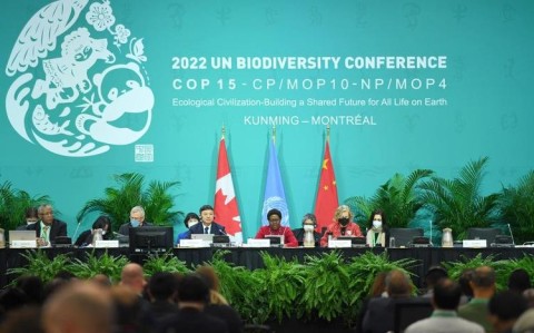 蒙特利尔生物多样性会议（蒙特利尔生态）