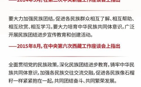 民族团结进步促进法审议（民族团结立法）