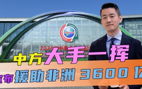 非洲发展援助（非洲的援助）