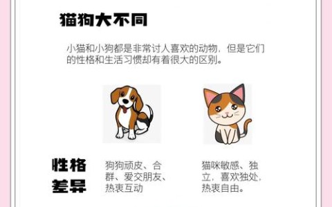 区块链养猫（区块链养狗的模式能维持多久）
