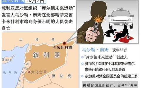 叙利亚反对派武装夺权（叙利亚反对派有多少兵力）