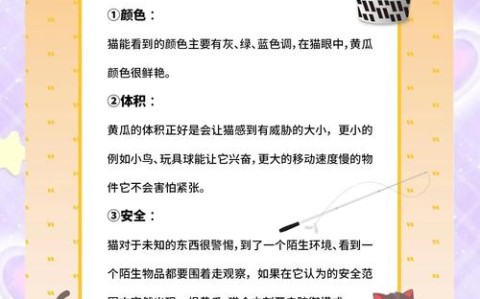 猫为什么怕黄瓜？（猫为什么怕黄瓜主要原因）
