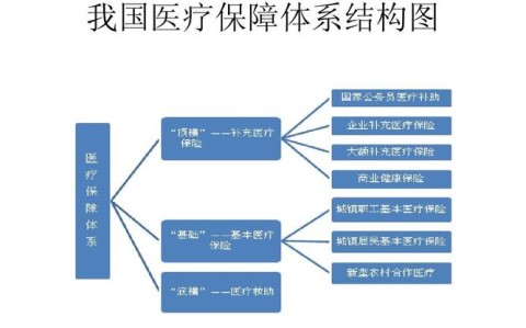 医保体系覆盖（医保制度全覆盖）