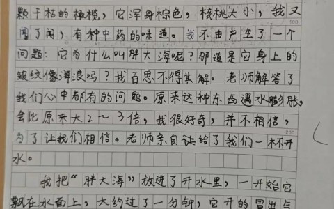 全职儿女观察日记（全职儿女观察日记怎么写）