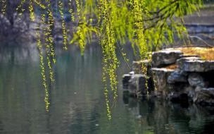 春分下雨意味着什么 春分下雨意味着什么意思