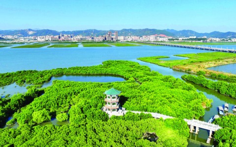 地中海沿岸生态修复（地中海沿岸平原）