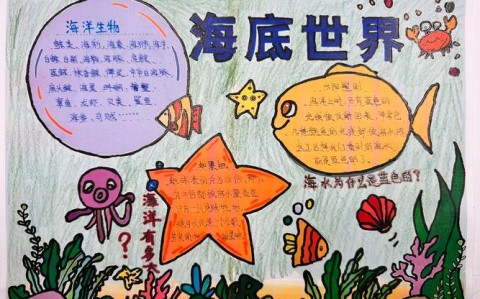 海洋奥秘（海洋奥秘手抄报内容）
