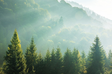 万水千山总是情简谱 万水千山总是情简谱