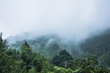 揭秘透视挂：箹箹吉林麻将外挂万能开挂器下载”有挂详细开挂教程