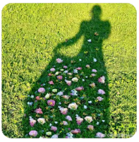 从“加快建立”到“推行制度”，长护险如何实现覆盖3亿人