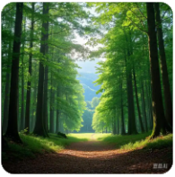 全国人大代表、中国人民银行上海总部主任金鹏辉：探索通过高收益债等金融工具支持科创企业融资