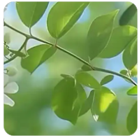 分析：全球能源市场的干扰或为期短暂