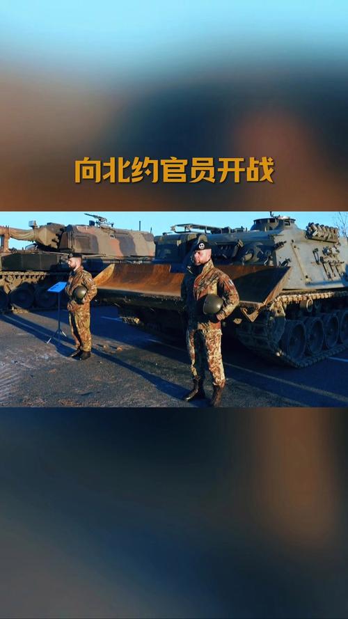 北约增员扩军(北约参战)