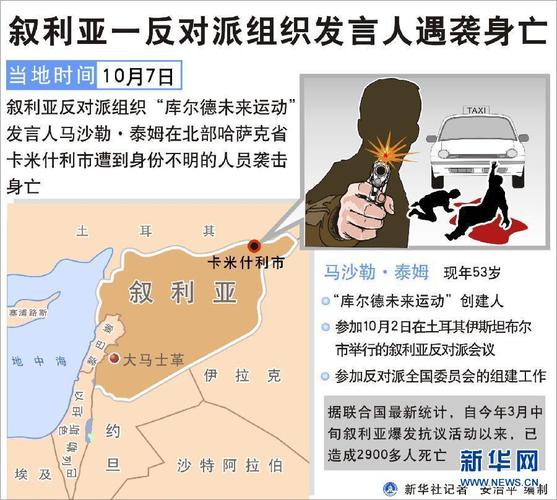 叙利亚反对派武装夺权(叙利亚反对派有多少兵力)