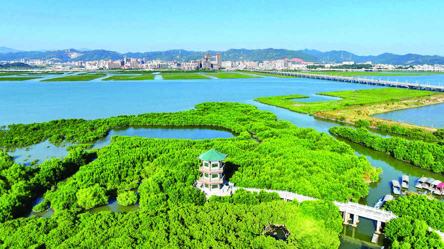 地中海沿岸生态修复(地中海沿岸平原)