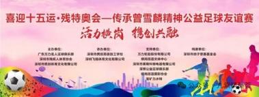 关于残奥会“残健共融”理念的信息