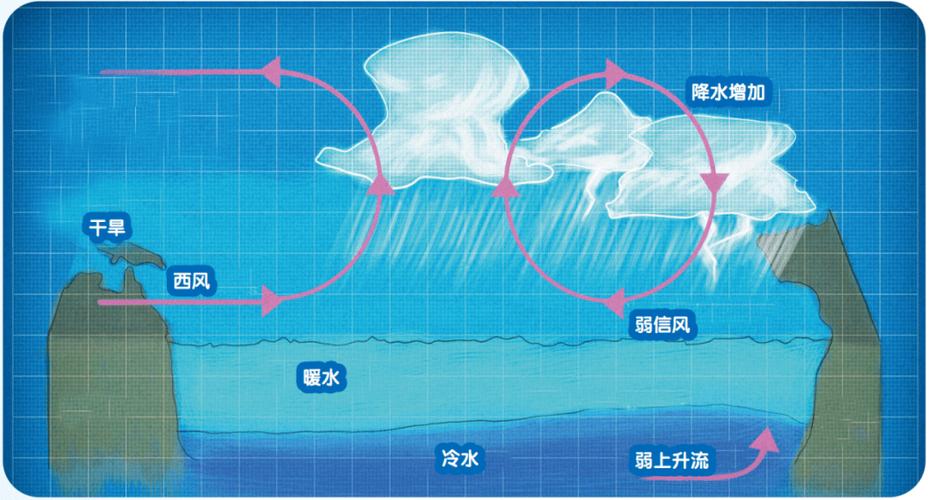 厄尔尼诺现象形成（厄尔尼诺现象形成的原因）