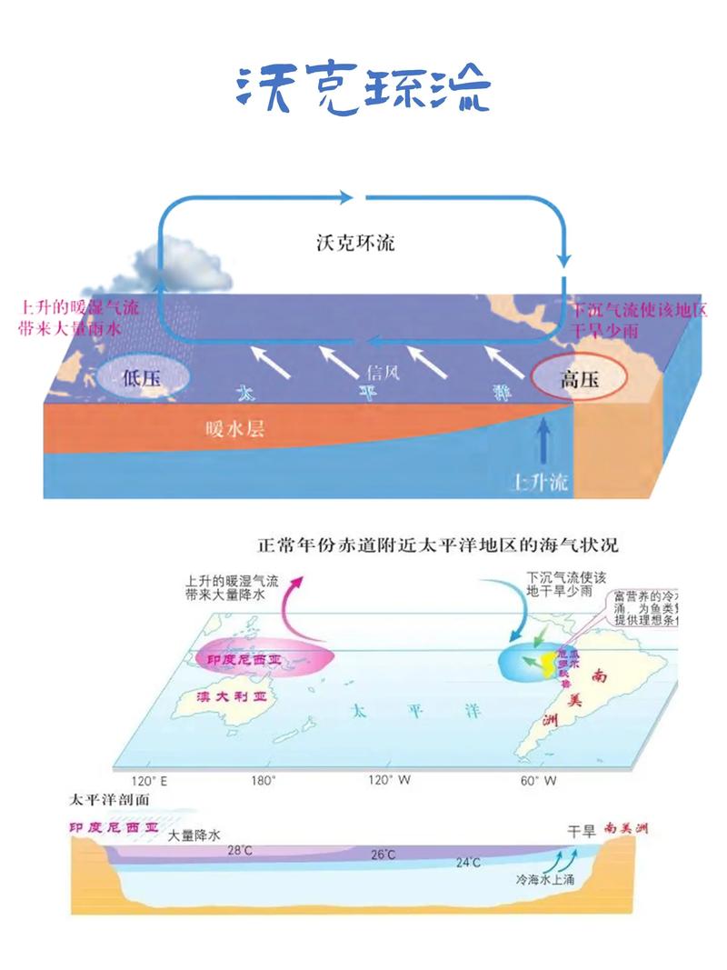 厄尔尼诺现象形成（厄尔尼诺现象形成的原因）
