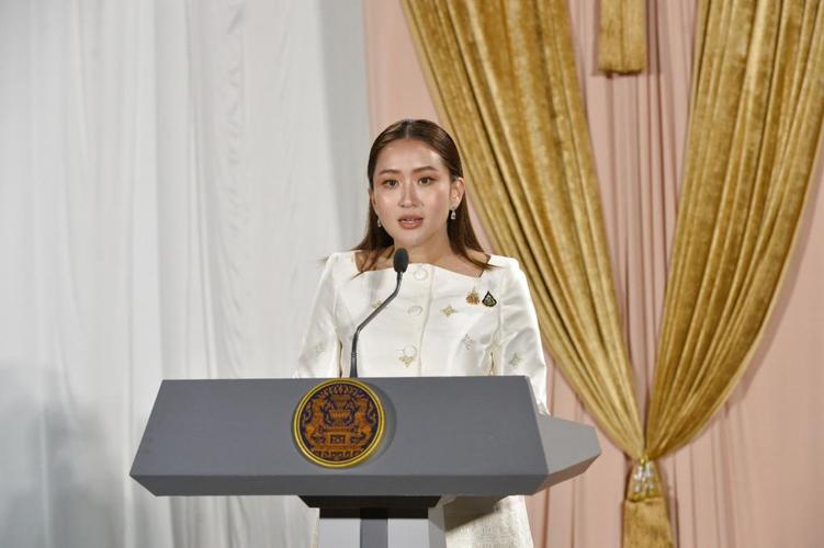 泰国新总理挑战（泰国新总统）