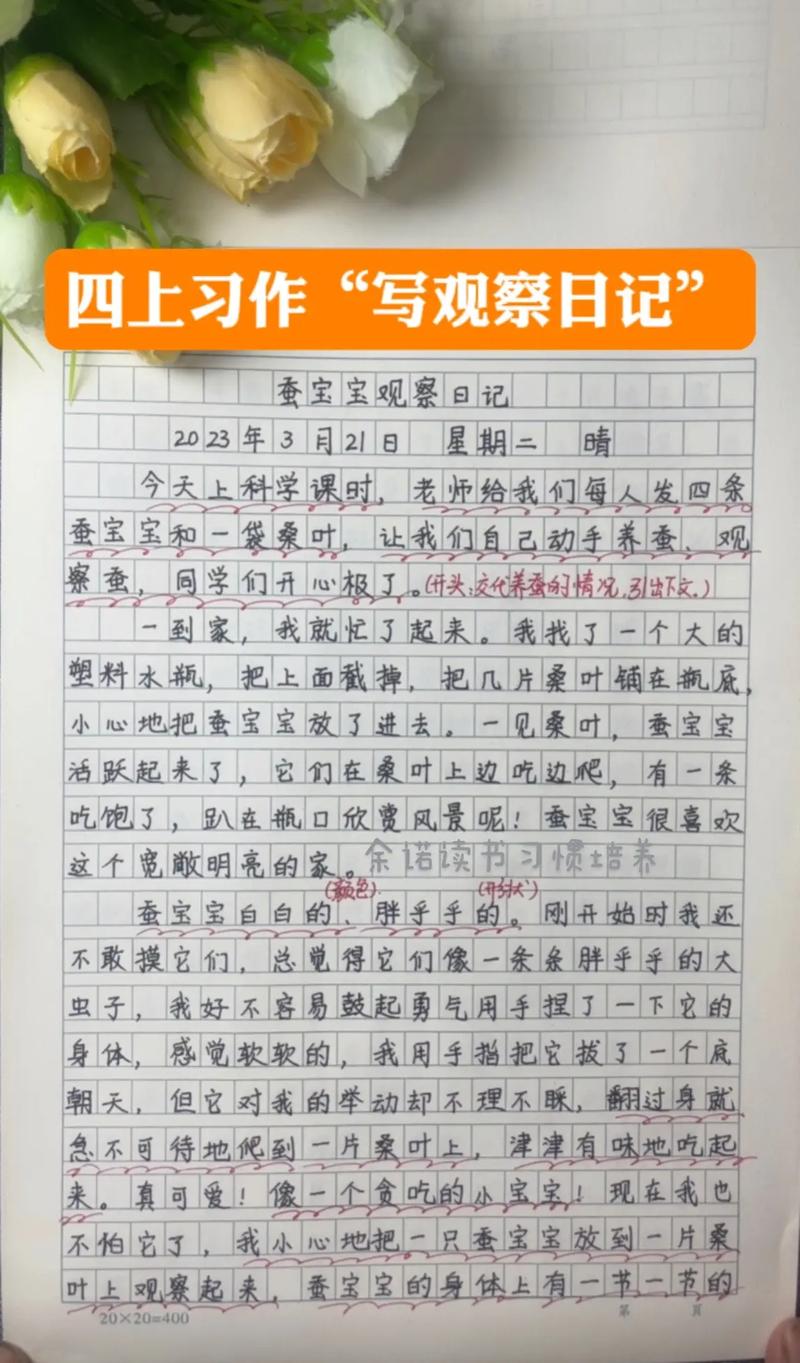 全职儿女观察日记（全职儿女观察日记怎么写）