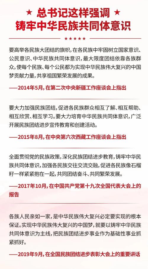 民族团结进步促进法审议（民族团结立法）