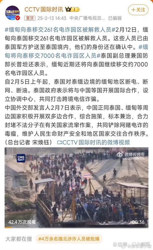 缅甸参与上合趣闻(缅甸和团会)