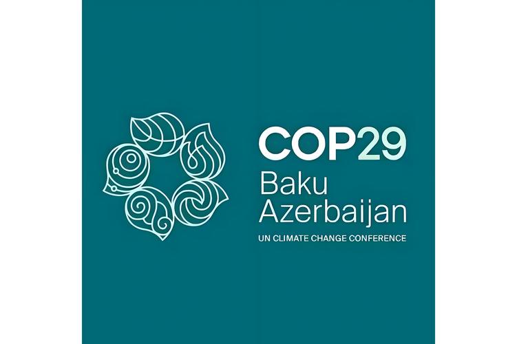 联合国气候变化(联合国气候变化大会cop28)