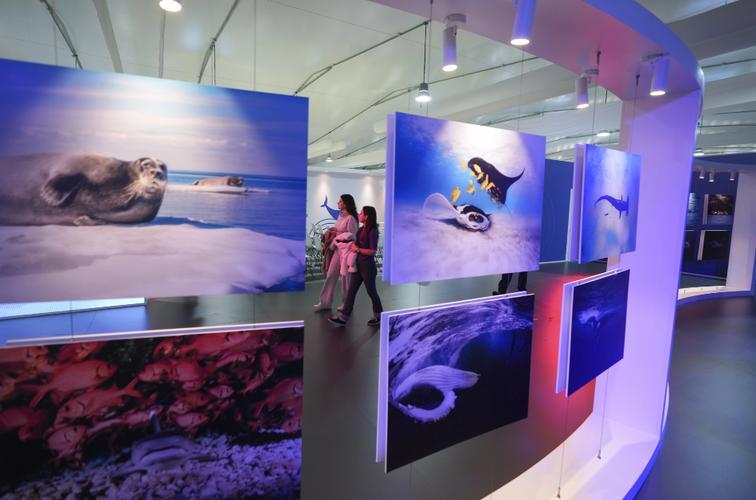 联合国气候变化(联合国气候变化大会cop28)