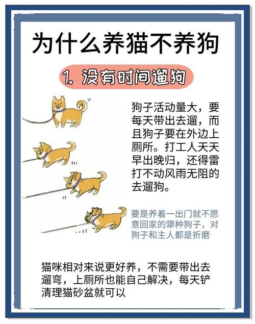 区块链养猫(区块链养狗的模式能维持多久)