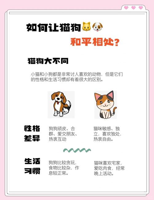 区块链养猫(区块链养狗的模式能维持多久)