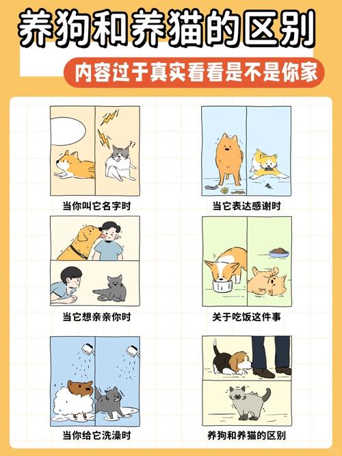 区块链养猫(区块链养狗的模式能维持多久)