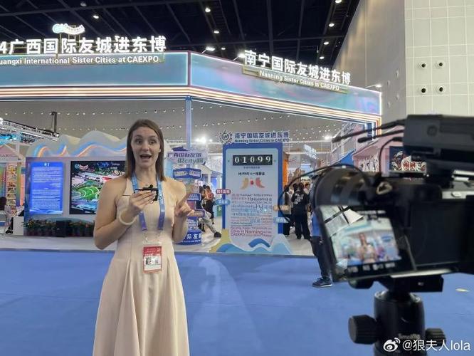 东博会友城参展(东博会展览)