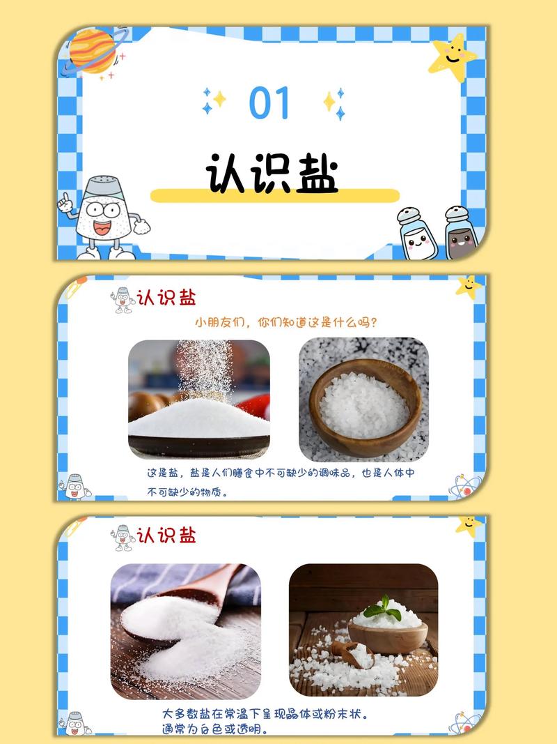 调味品科学(调味品科学中班)