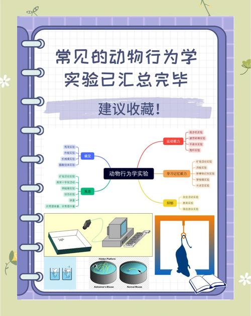 动物行为学（动物行为学第二版电子版）