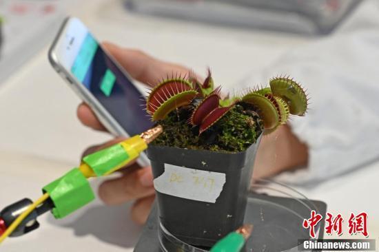 植物通讯(植物通讯设备)