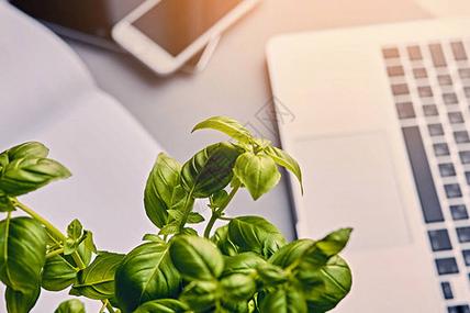 植物通讯(植物通讯设备)