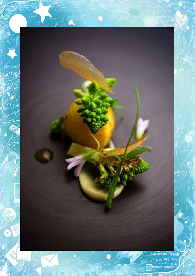 分子料理(创意菜谱图片和做法)