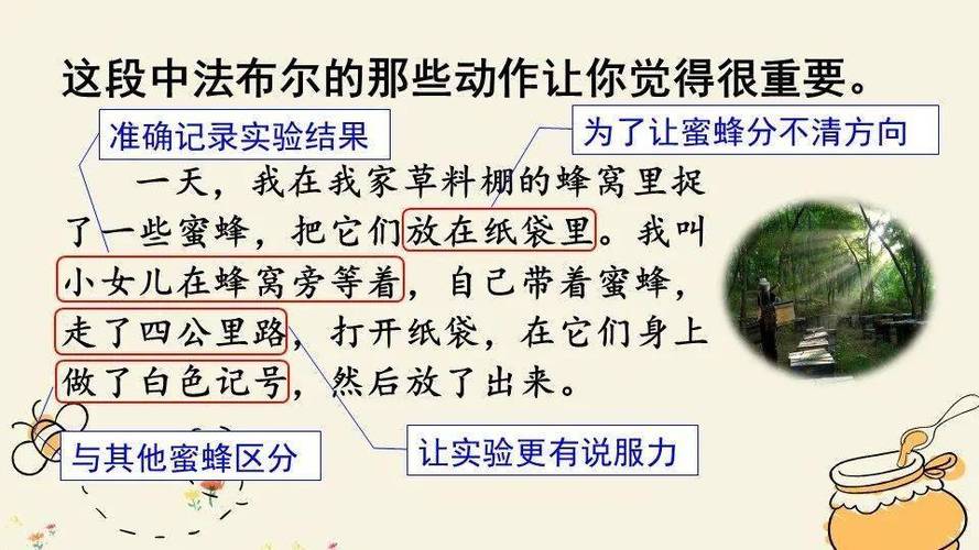 蜜蜂的舞蹈语言(蜜蜂的舞蹈语言董诗浩)