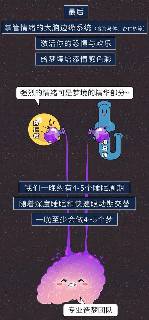 为什么人会做梦?(为什么人会做梦中梦)