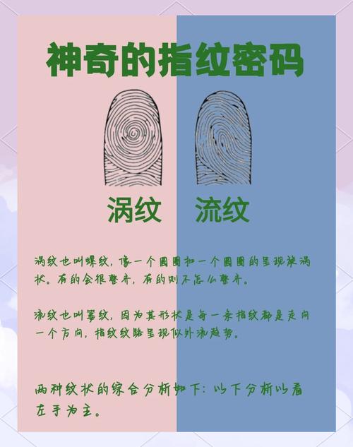 指纹的作用（指纹的作用有哪些至少说六个）