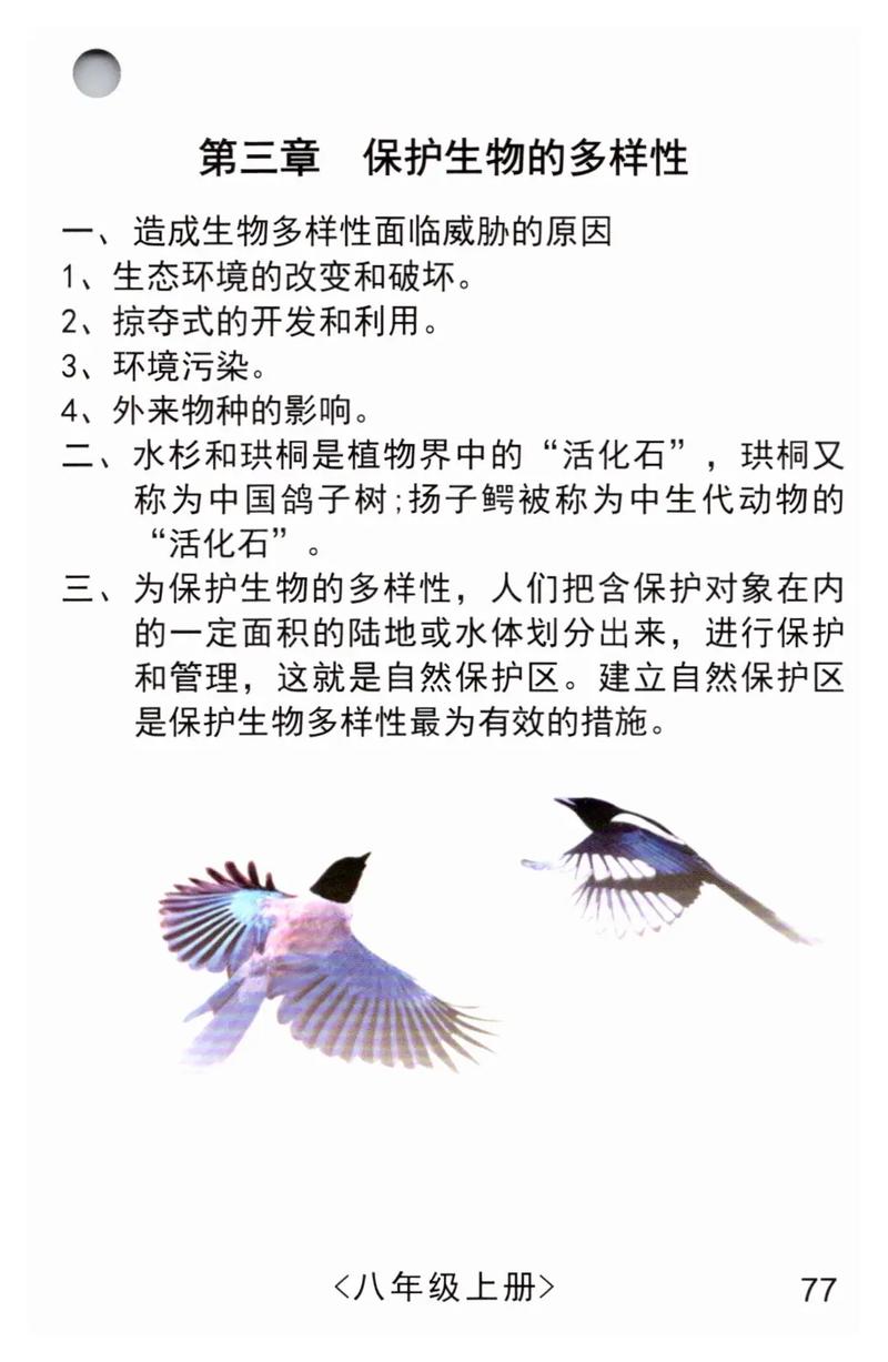 生物多样性（生物多样性包括哪三种）