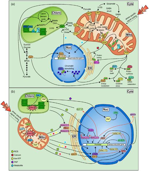 植物防御机制(植物防御机制包括)