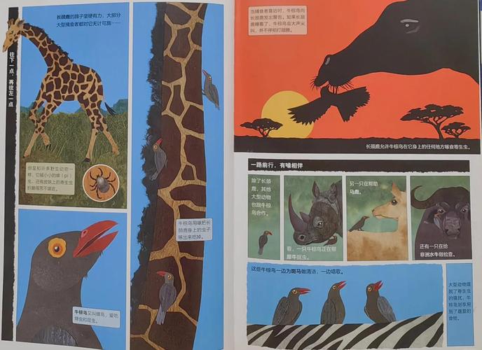 共生关系(共生关系的动物例子)